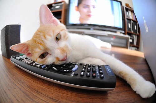 劈开坚冰,乔治的救赎之战如何重塑湖人命运