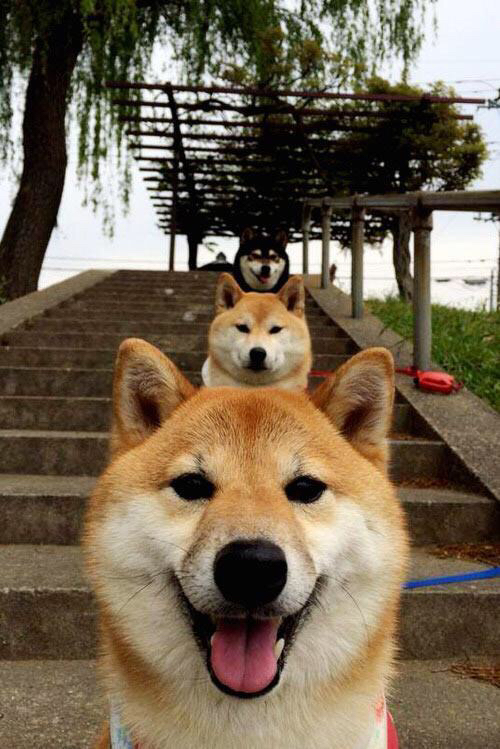 篮网力克凯尔特人，莫兰特唯一关键先生定乾坤