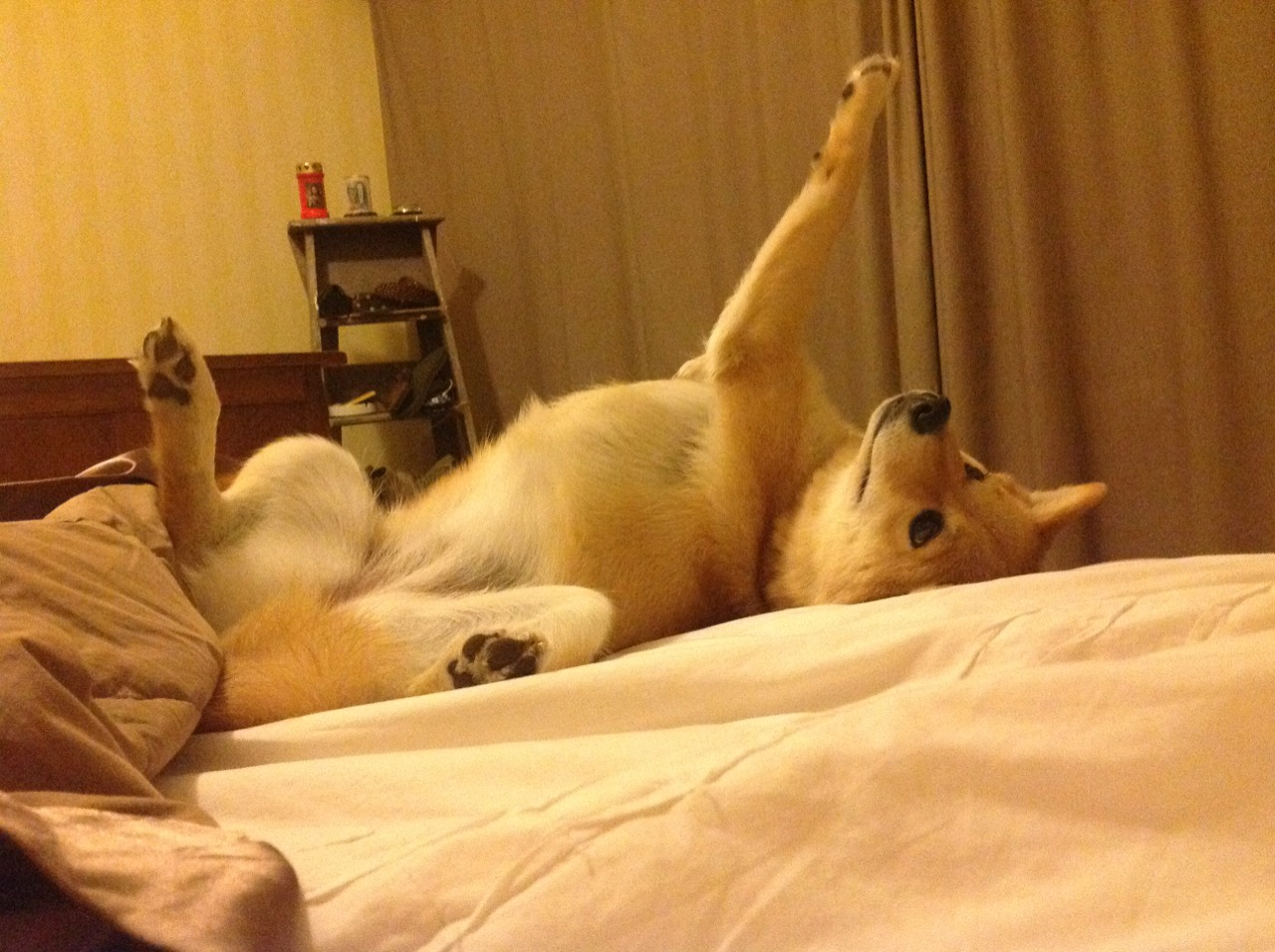 从华沙到开普敦，暴雨中奥纳纳用一记扑救改写了八千公里外的命运