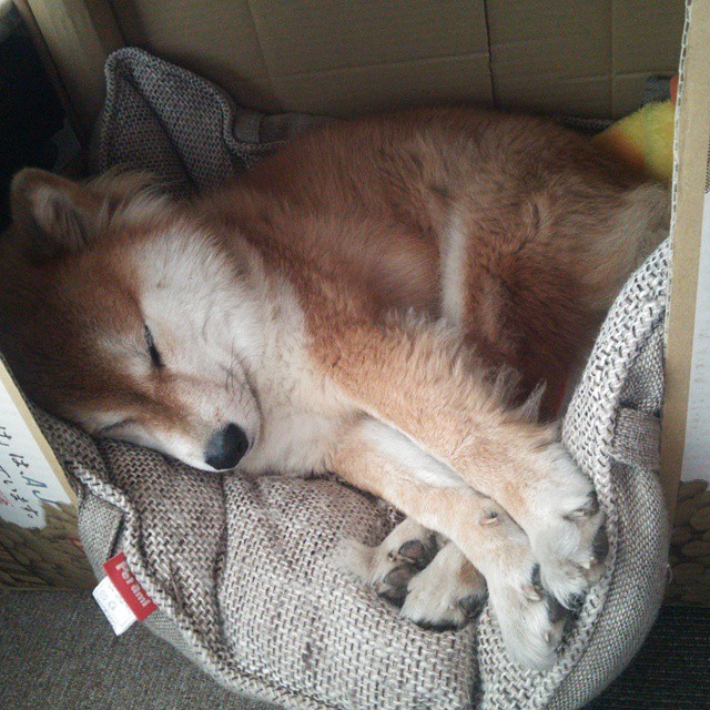 踢碎边界的传奇，足球巨星黄喜灿的NBA总决赛统治夜