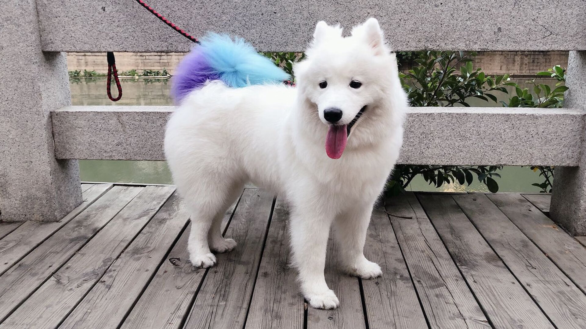 绿茵上的独舞，奥利维耶全程高能输出，塞内加尔撕裂挪威防线的战术狂想