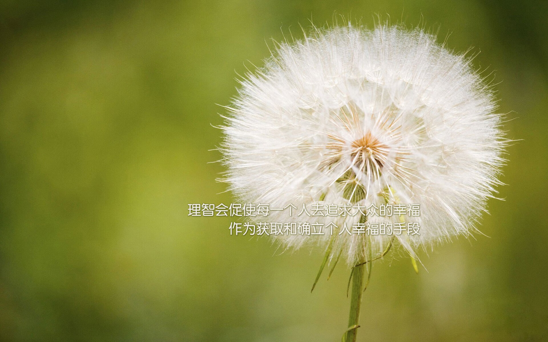 七海之盾与双牙塔的博弈，当库尔图瓦的时间褶皱锁死斯洛伐克，阿联酋用控球重绘世界杯版图